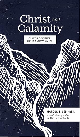christ and calamity grace and gratitude in the darkest valley